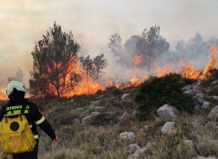 Požar kod Rupa brzo ugašen zahvaljujući brzoj intervenciji vatrogasaca