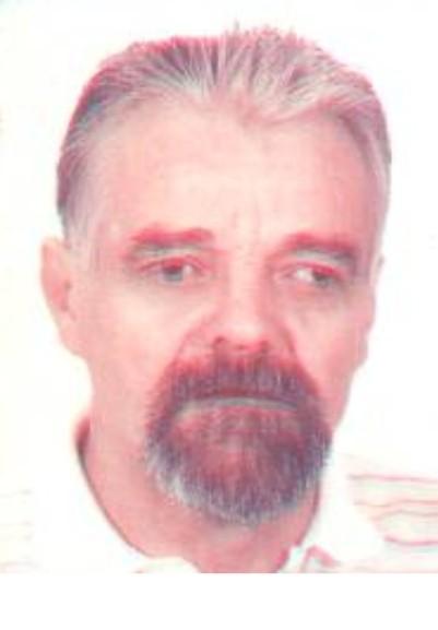 Ante Božić-Brnić 