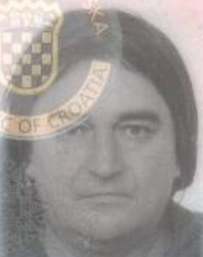 Goran Nadoveza 