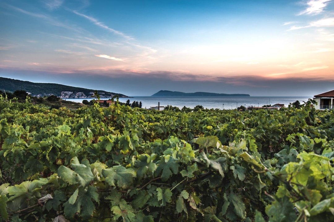 Zaplovili smo iz Šibenika put juga i otkrili tajne magičnih dalmatinskih otoka