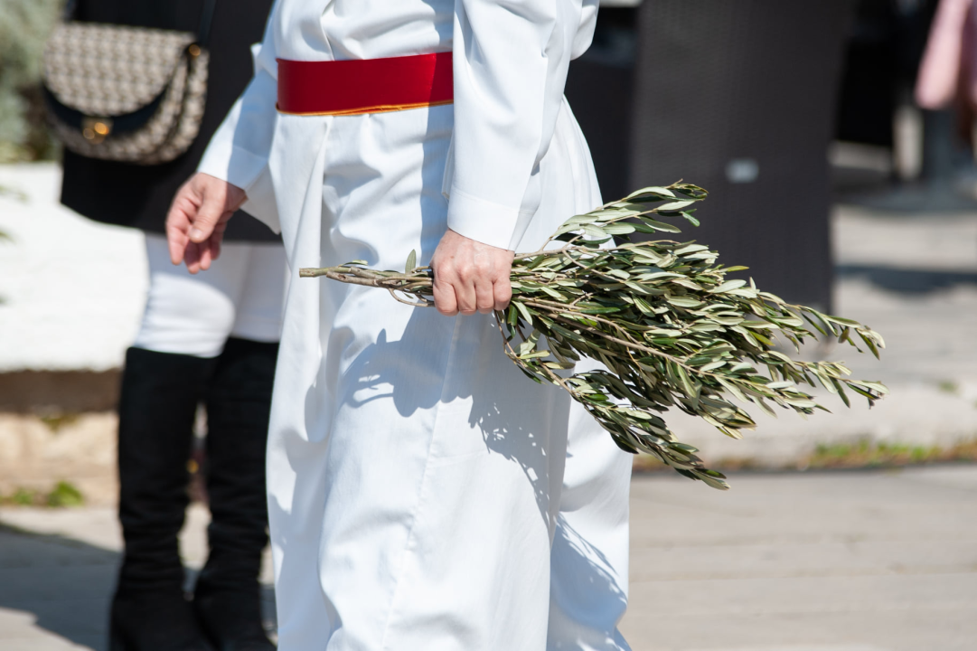 Procesijom, misom i blagoslovom maslinovih grančica Šibenčani proslavili Cvjetnicu   