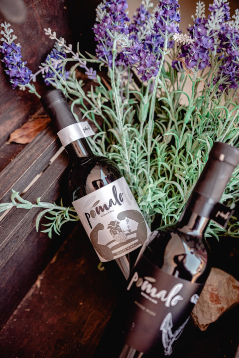 Priuštite si prekrasne trenutke na prozračnoj terasi Pomalo Bistro & Bara u Žaboriću!