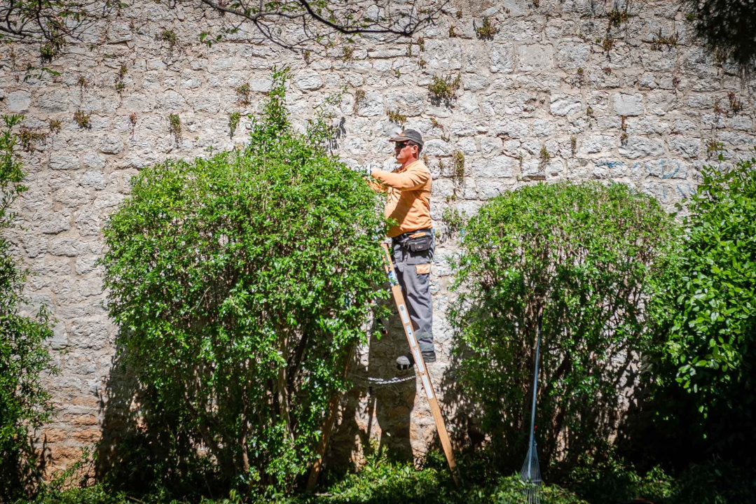 U šibenskom 'dnevnom boravku' sadi se cvijeće i uređuje okoliš: Perivoj Roberta Visianija dočekat će ljeto u punom sjaju 