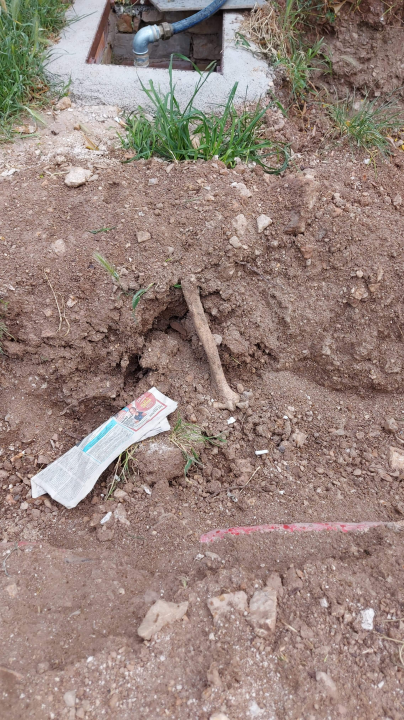 Među ljudskim kostima kod sv. Frane građani šetaju pse: Bager ih prekopao i razbacao po travi