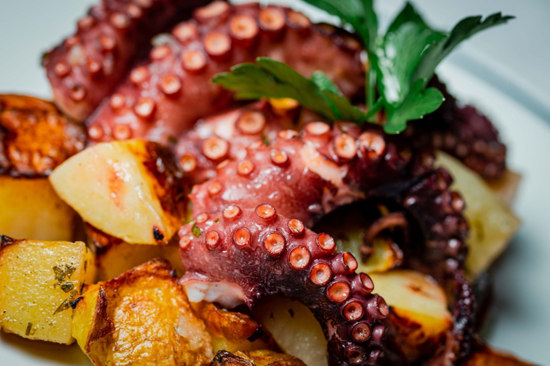 The Pink Week u Bronzinu: Uz selekciju sireva časte vas Hvar Hills Pius roséom!