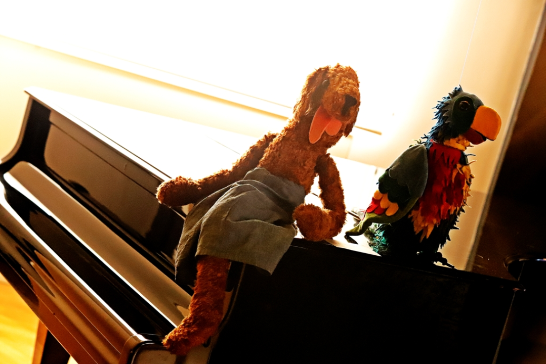 Neprocjenjiva šetnja Šibenikom: Od Ike Škomrlj preko Mladena Kušeca do Mersada Berbera 