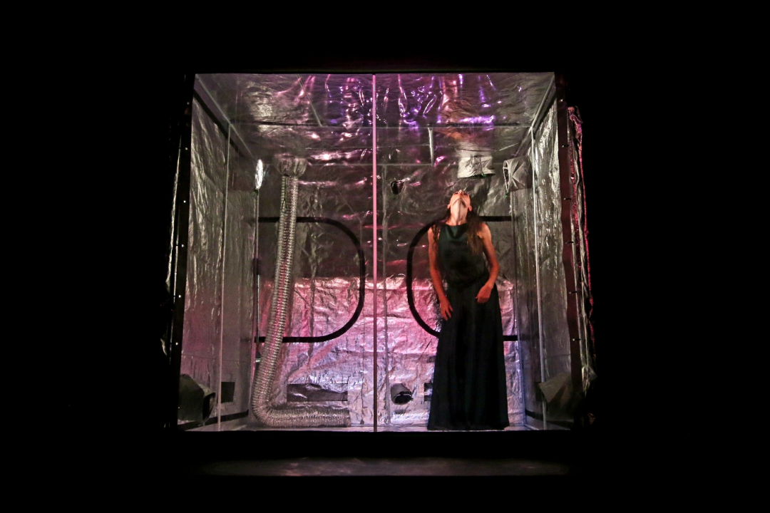 Srpske i mađarske plesačke zvijezde oduševile publiku u Kući umjetnosti Arsen