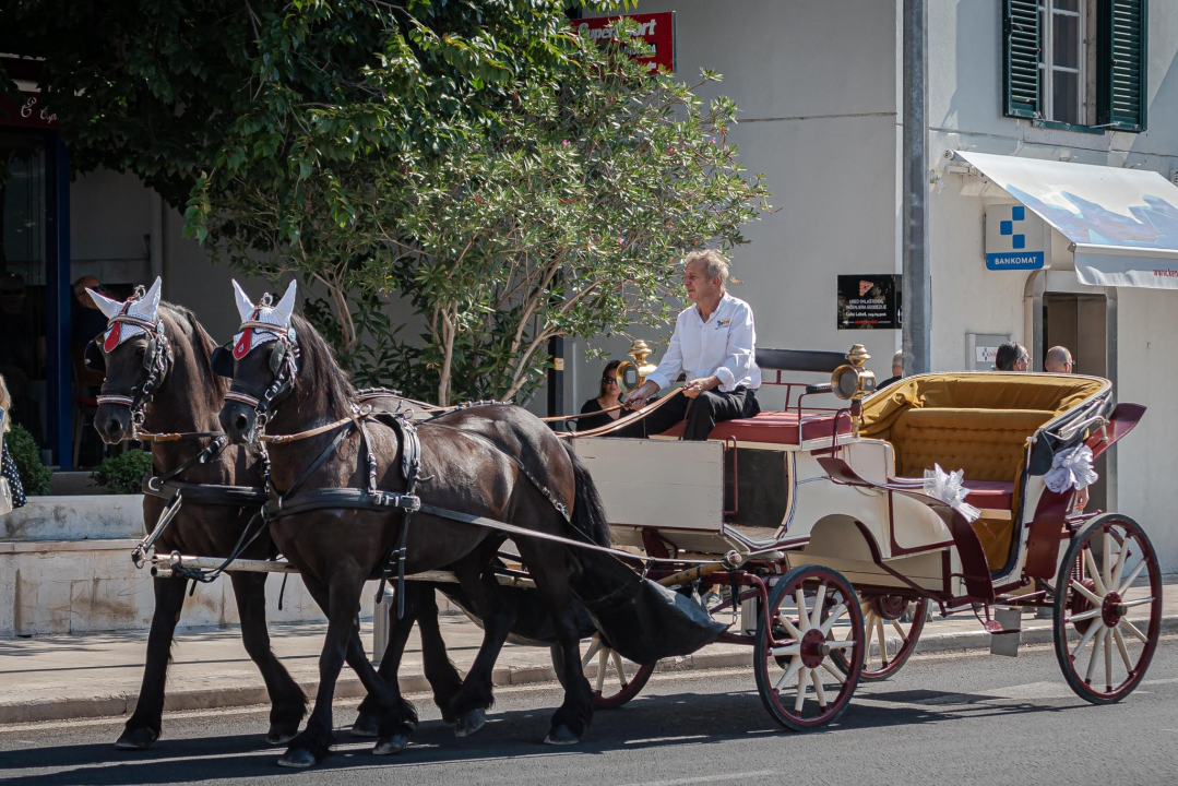 Vjenčanje na belgijski način: Dvije frizijske kobile kaskale centrom grada i rivom  