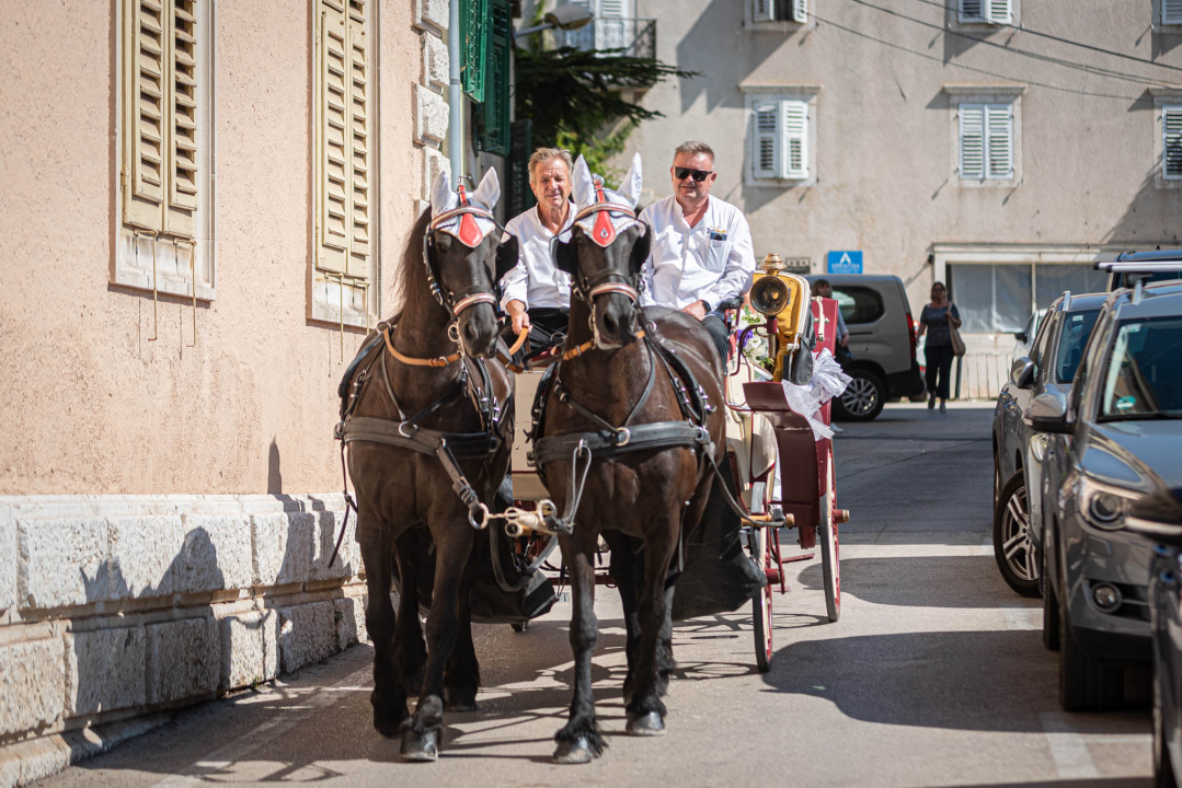 Vjenčanje na belgijski način: Dvije frizijske kobile kaskale centrom grada i rivom  