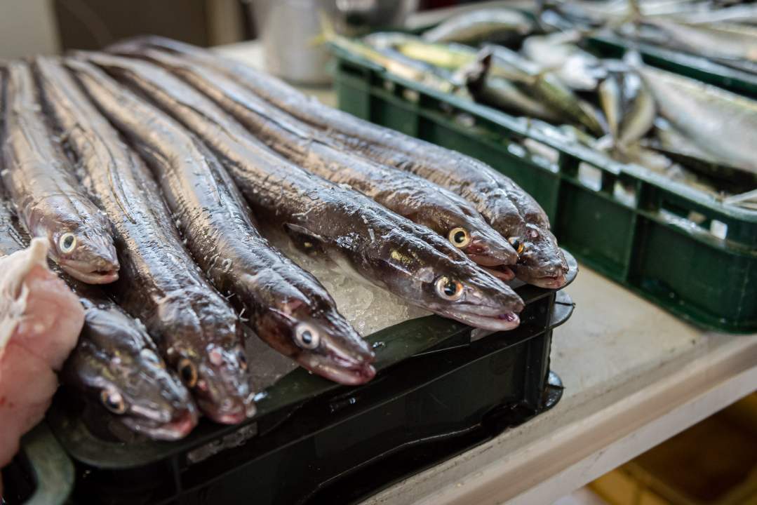 Na pijaci smo pronašli prve žižule, a na peškariji solidnu ponudu ribe: 'Što turisti znaju što je divlji, a što uzgojen brancin' 