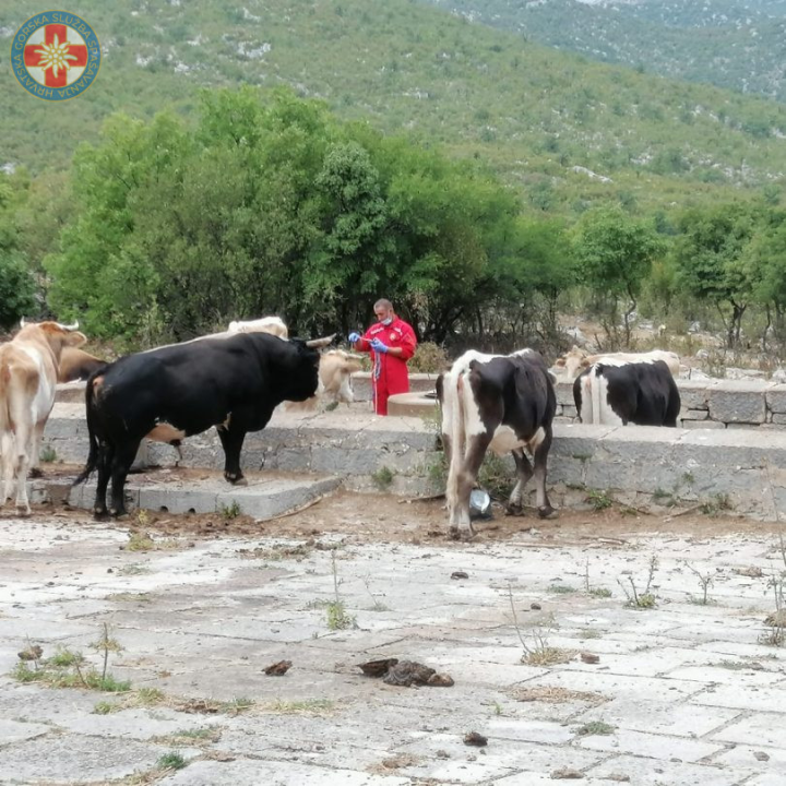 Šibenski GSS-ovci spašavali staricu koja je iznemogla i dehidrirana čuvala stoku