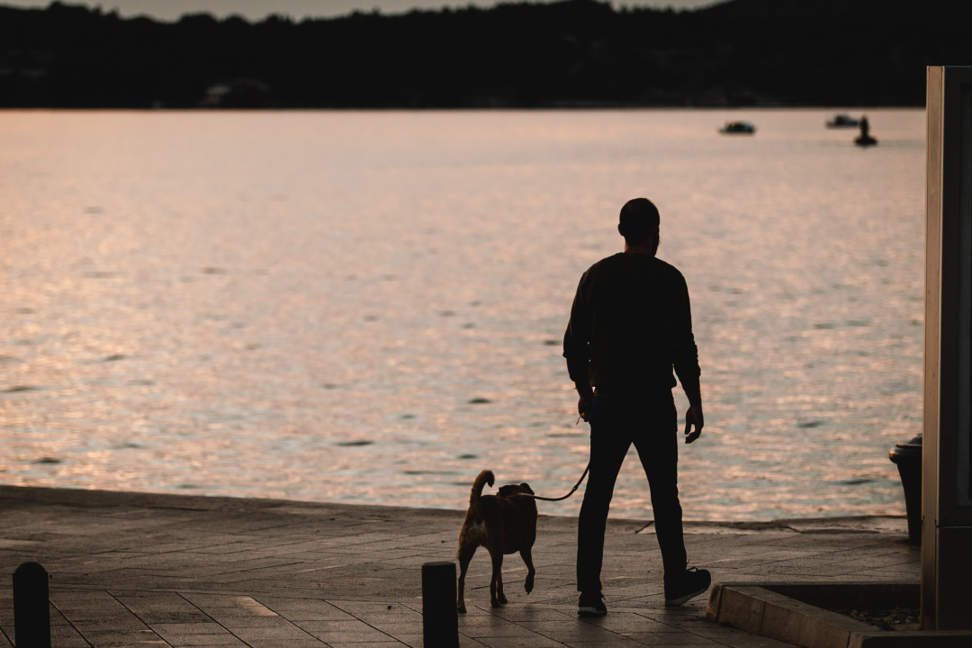 Jesenska idila u Šibeniku: Nema rijeke turista, ali grad je daleko od pustoši!