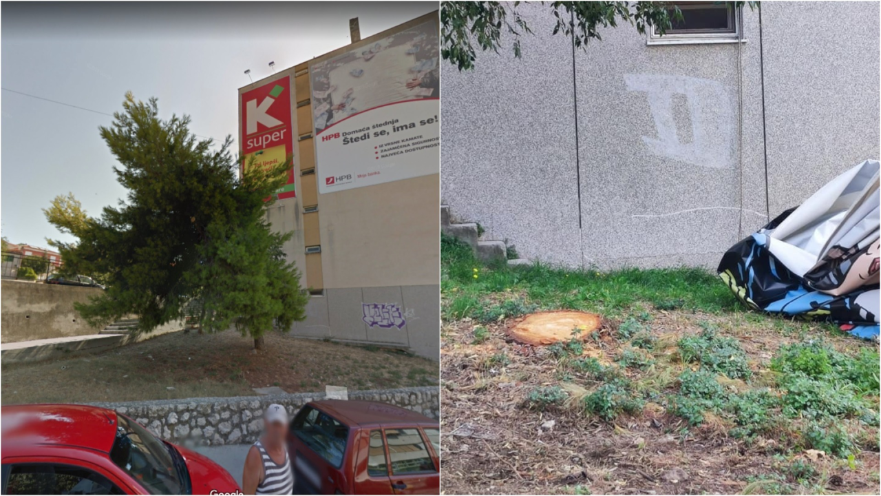 Stablo na Krvavicama platilo danak reklami? Ne znamo razlog, ali danas je posječeno