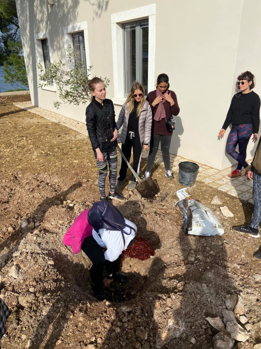 Šibenski volonteri s kolegama iz Europe zasadili mlada stabla u uvali Minerska u kanalu