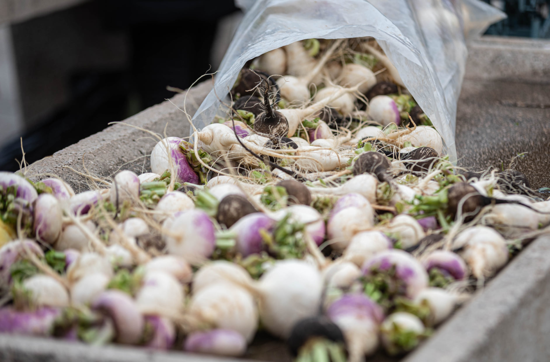 Ponuda ribe na peškariji u skladu s tmurnim danom: Ipak, za 50 kuna može se kupiti pet kila ribe, a ima i štriguna