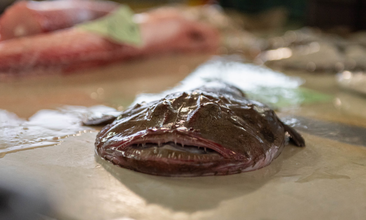 Ponuda ribe na peškariji u skladu s tmurnim danom: Ipak, za 50 kuna može se kupiti pet kila ribe, a ima i štriguna