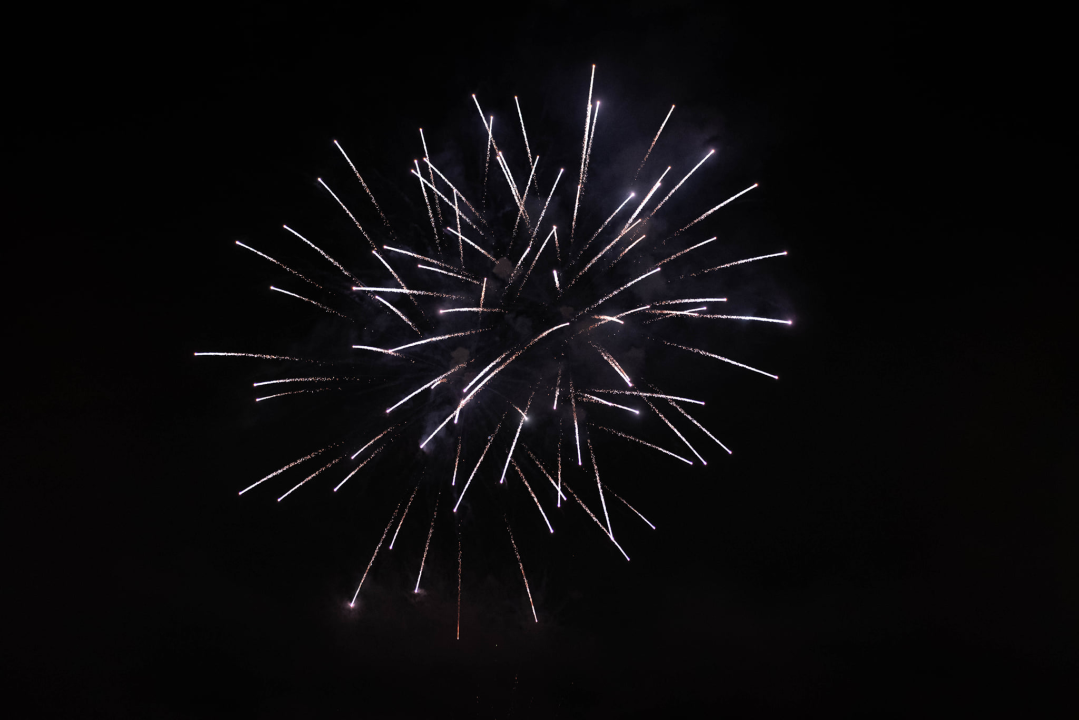 Đardin je i za doček Nove godine bio pun, a vatromet je dodatno začinio stvar