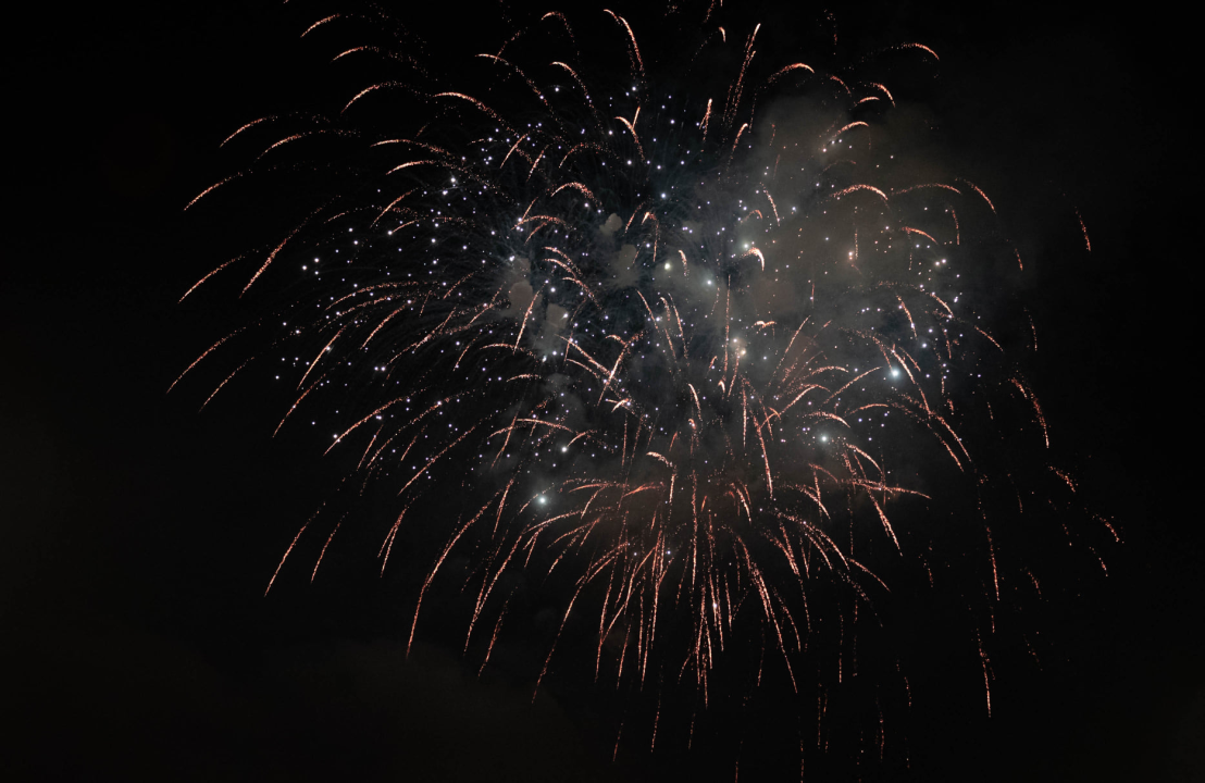 Đardin je i za doček Nove godine bio pun, a vatromet je dodatno začinio stvar