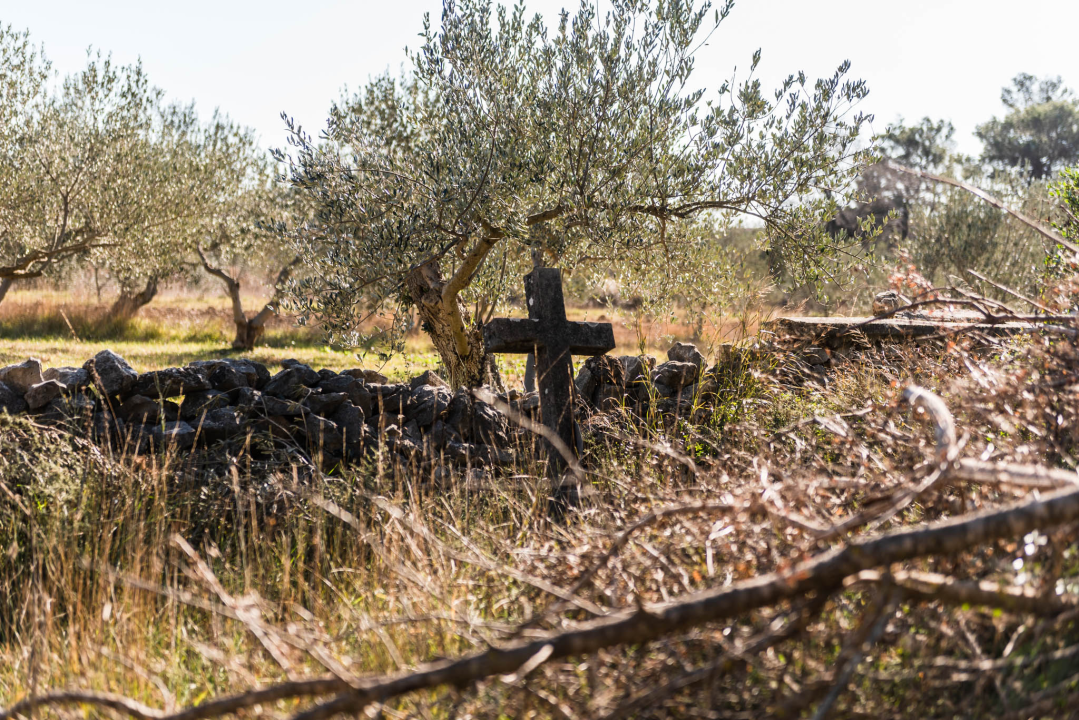 'To groblje je poput Pandorine kutije, bila je i njemačka krim policija': Na Raskrižju su posljednje počivalište našli i partizani i fašisti