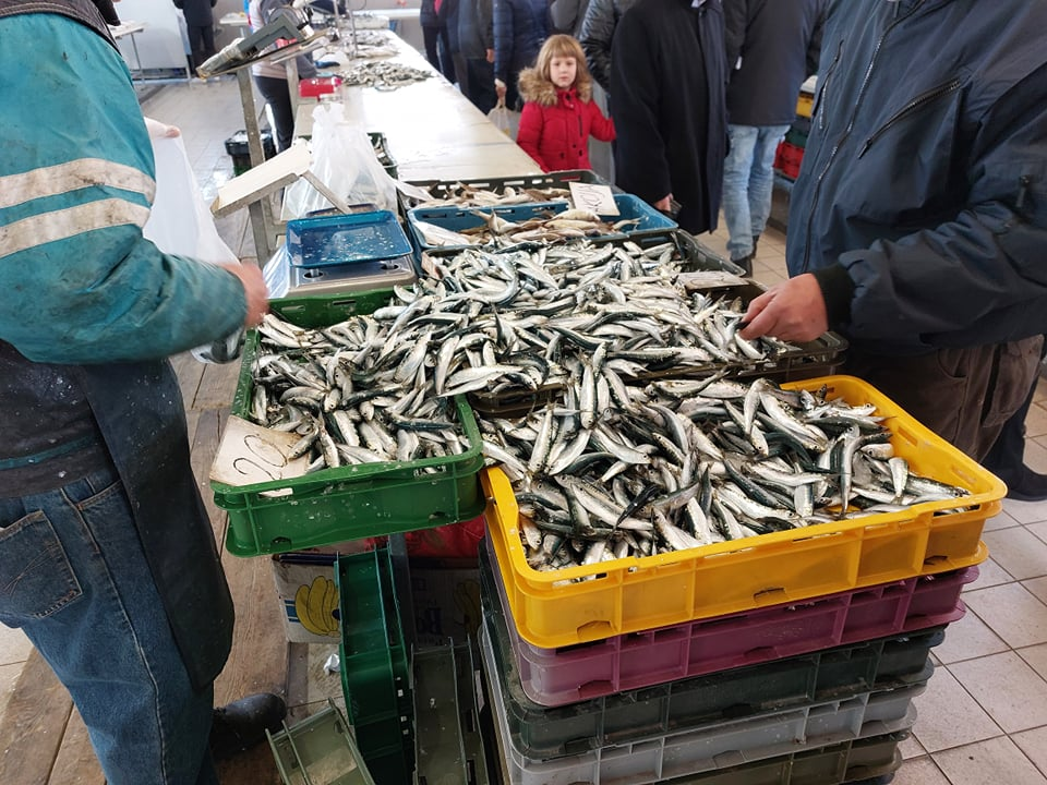 Na peškariji skromna ponuda zbog bure: Srdele, brancini i jedna murina