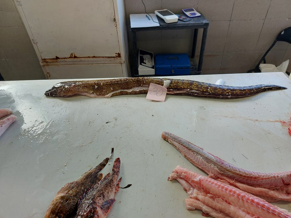 Na peškariji skromna ponuda zbog bure: Srdele, brancini i jedna murina