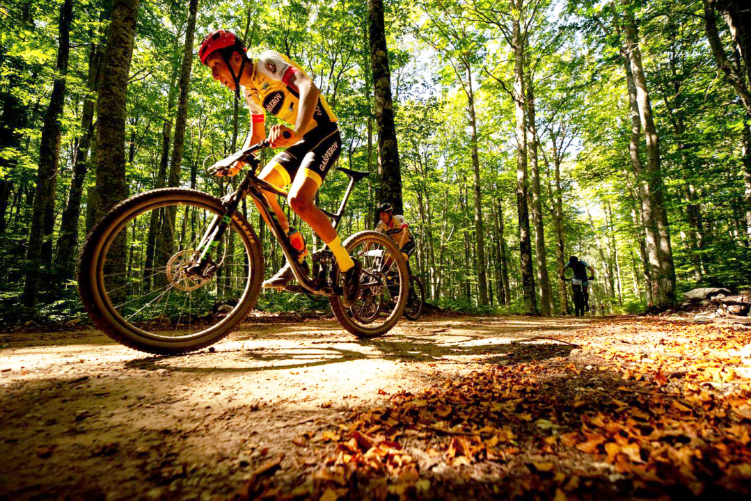 Na Kninskoj tvrđavi Praznik rada slave dan ranije: Posjetitelje očekuju srdele, storytelling ture i vrijedne nagrade!