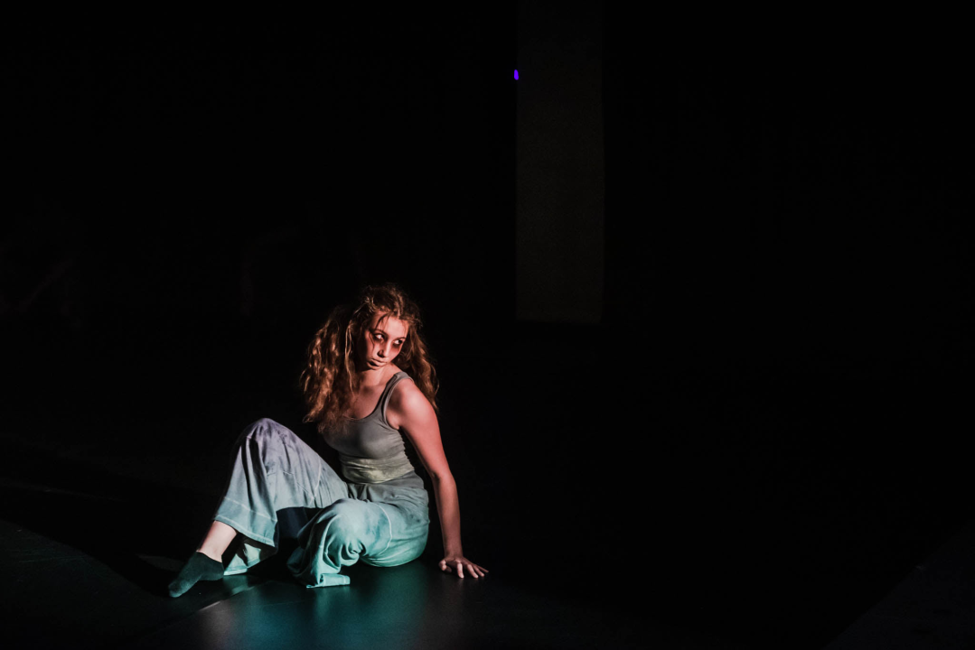 ‘Sjene‘ ponovo izvele predstavu 'Madness' prema knjizi Šibenčanina Dina Seksa  