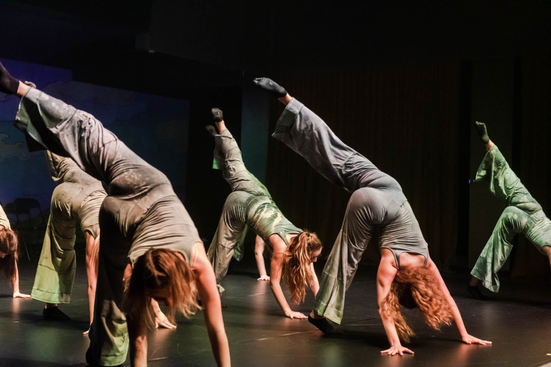 ‘Sjene‘ ponovo izvele predstavu 'Madness' prema knjizi Šibenčanina Dina Seksa  