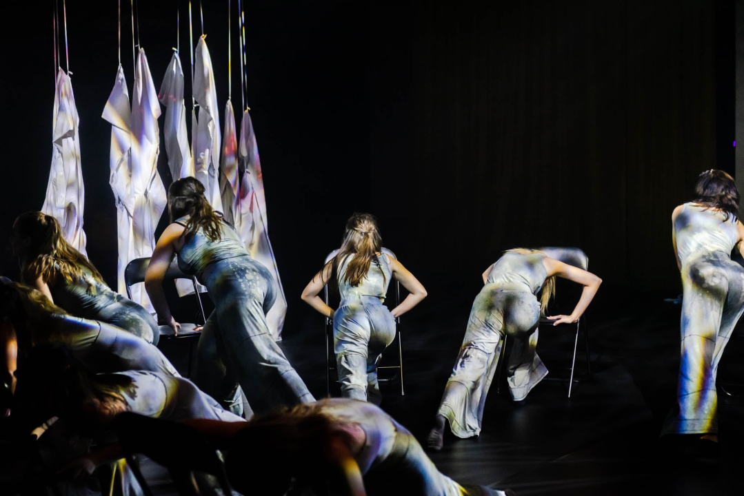 ‘Sjene‘ ponovo izvele predstavu 'Madness' prema knjizi Šibenčanina Dina Seksa  