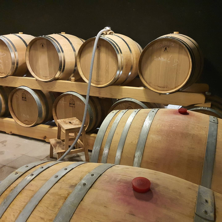 Iskoristite priliku za besplatan prijevoz mini busom u petak na Danima otvorenih kušaonica!