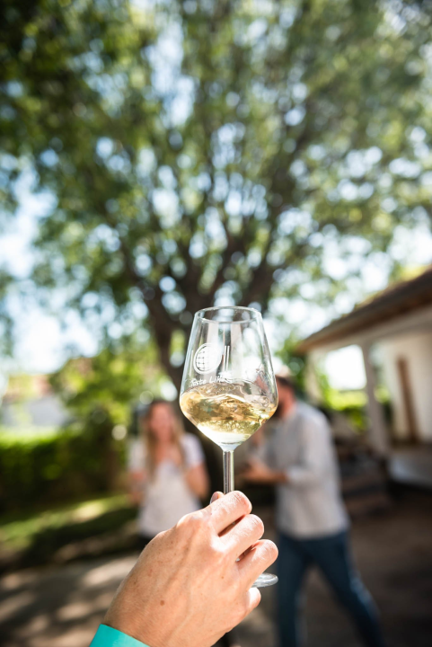 Dani otvorenih kušaonica: Pogledajte kako je bilo na 'zelenoj ruti' od Skradina do Knina 