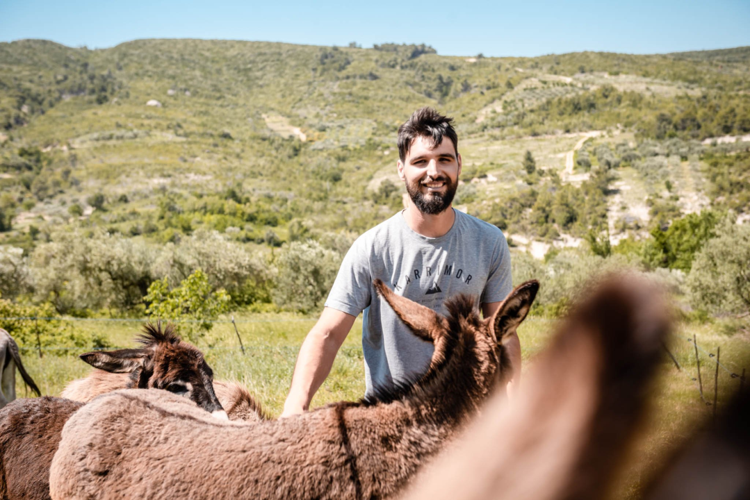 Ante Dujić prvog magarca kupio je kao ljubimca, a danas u Ićevu ima farmu i uhodan posao 