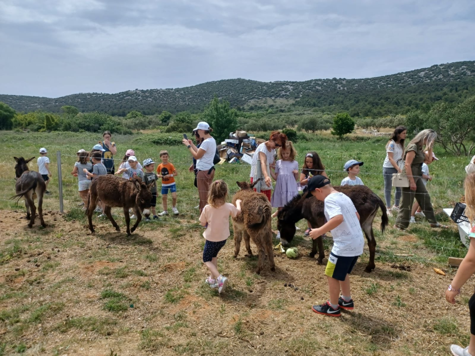 Tovarijada za djecu: Vrtiću Maslina u Tribunju u posjet došli prijatelji iz Benkovca i Trogira