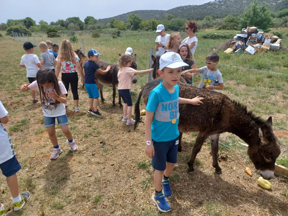 Tovarijada za djecu: Vrtiću Maslina u Tribunju u posjet došli prijatelji iz Benkovca i Trogira