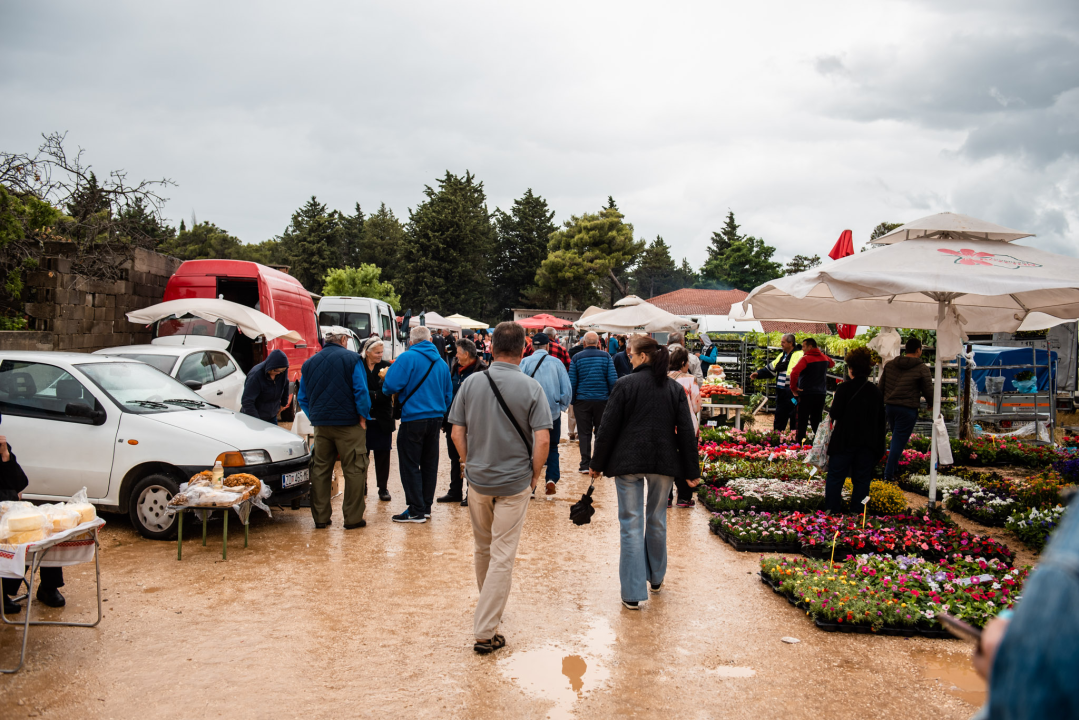 Bili smo na Benkovačkom sajmu: Najtraženija 'roba' su CD-evi Thompsona i Bulića, a za prasetinu se čeka red