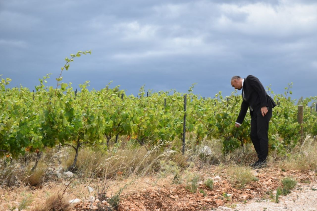 Jelić obišao radove na sustavu navodnjavanja Donje polje- Jadrtovac