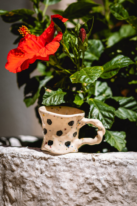 Murtićev apstraktni brod i Vežin pejzaž potražite u Galeriji Juraj Dalmatinac