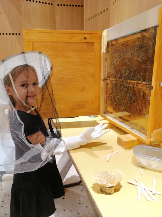 Provjerite što vas čeka u Društvenom centru Grada Skradina tijekom rujna!  