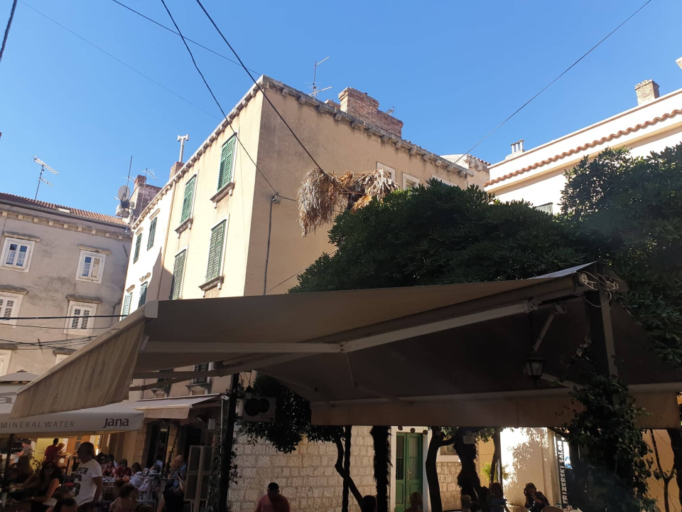 Zeleni grad uklonit će suhe palme s 'Trga 4 štekata': Jučer je jedna pala posred lokala na dječje igralište 