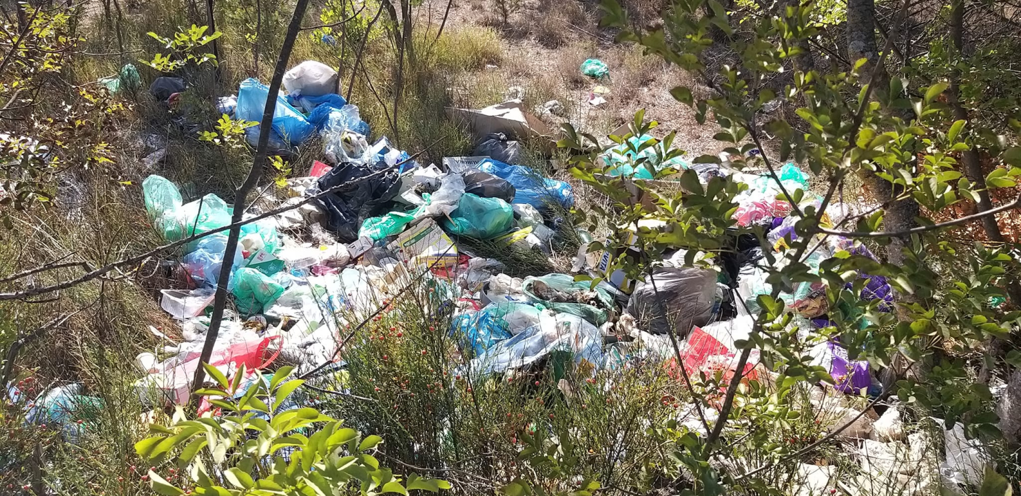 Eko-kriminalac iz Podlukovnika: 'Legendo, istresti ćemo ti sve ovo smeće u dnevni boravak. O mom trošku' 