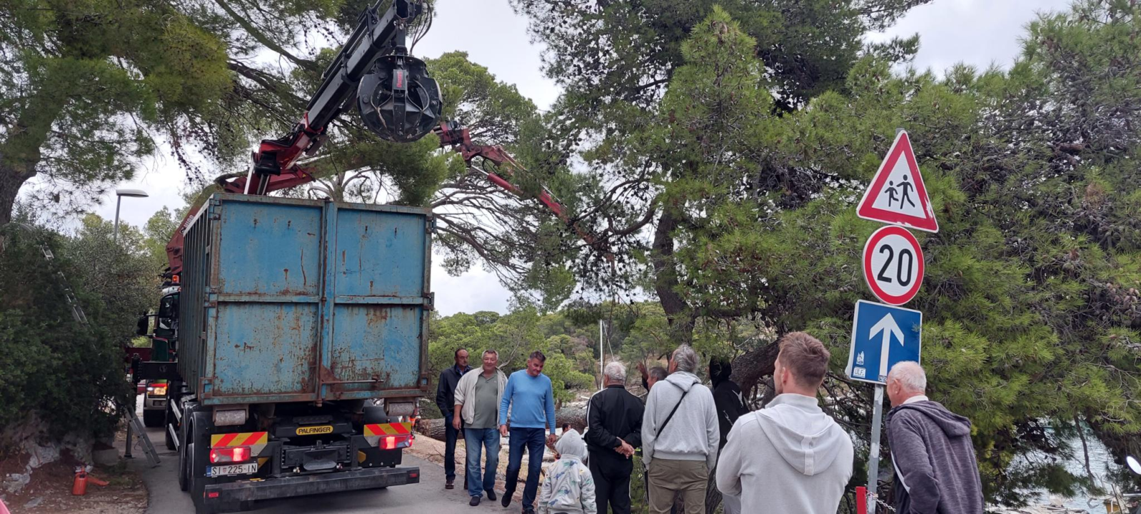 Sve je prošlo lišo: Srušio se stari bor na Poratu u Primoštenu