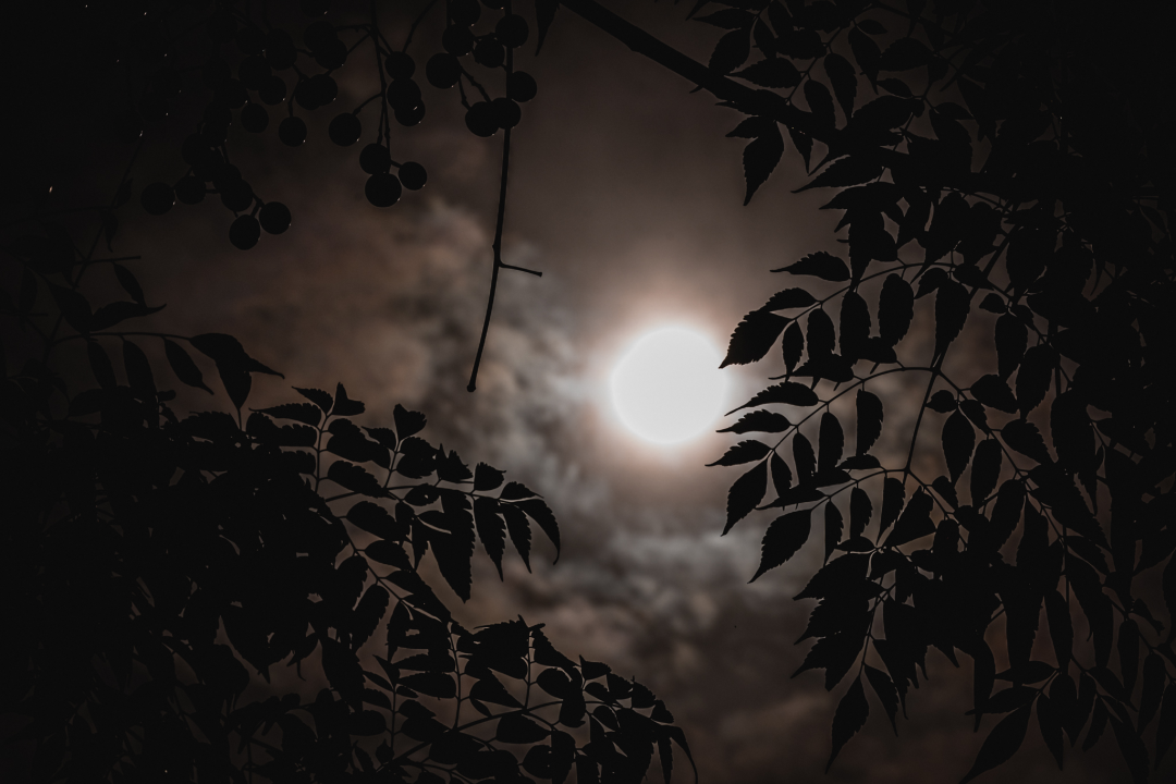 Uspjeli smo snimiti djelomičnu pomrčinu Sunca iznad Šibenika!