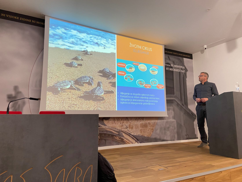 Održano predavanje o rezultatima istraživanja morskih kornjača u akvatoriju Šibensko-kninske županije