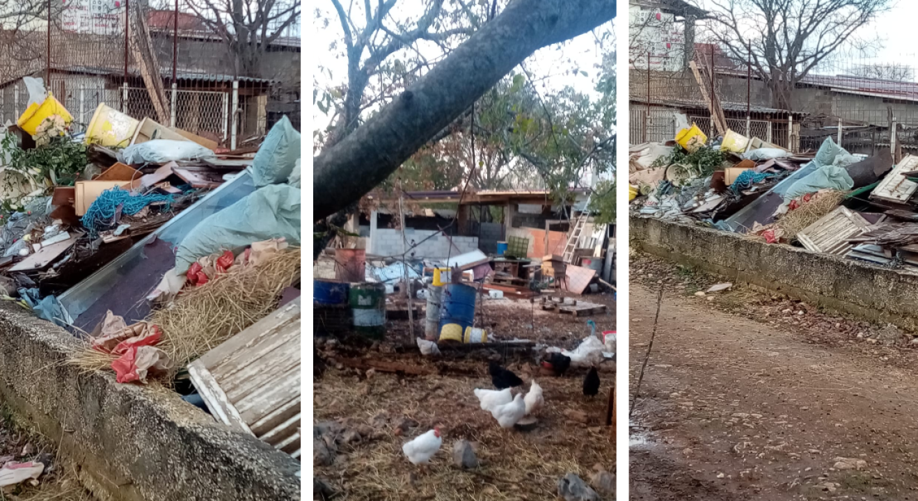 Vlasnici apartmana u Brkićima o ovcama: 'On tu ni ne živi, a svugdje ostavlja smeće. Protiv stočarstva nemamo ništa' 