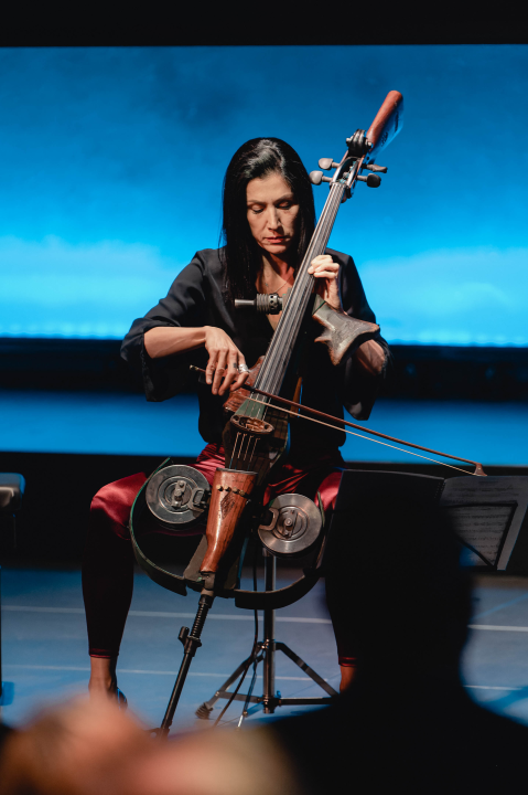 Ana Rucner u Arsenu svirala na violončelu od dragovoljno predanog ilegalnog oružja