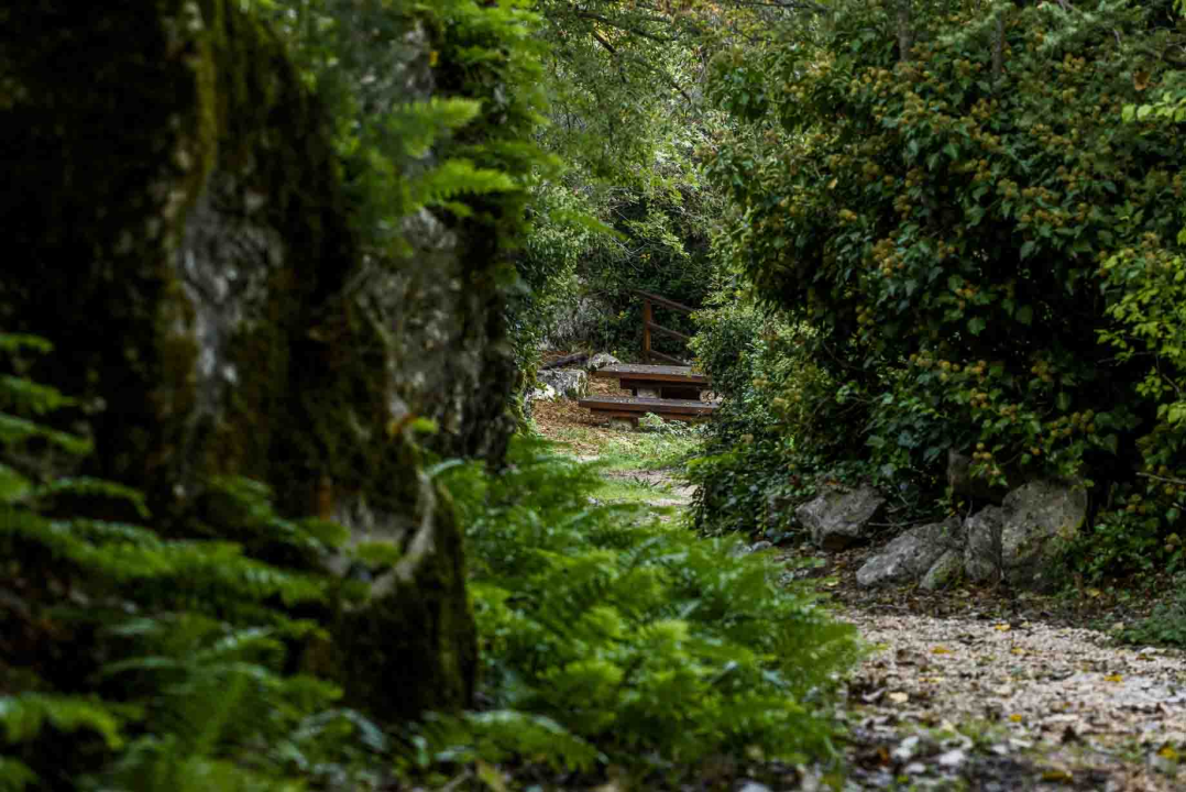 Posjeti NP &quot;Krka&quot; na Praznik rada, preuzmi svoju sadnicu i posadi je za budućnost!
