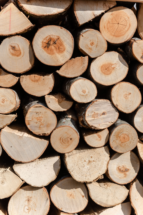 Ne čekajte zahlađenje već se opremite drvima na vrijeme!