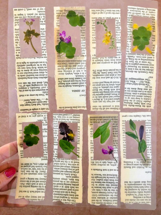 Učenici iz nekoliko europskih zemalja posjetili šibensku knjižnicu