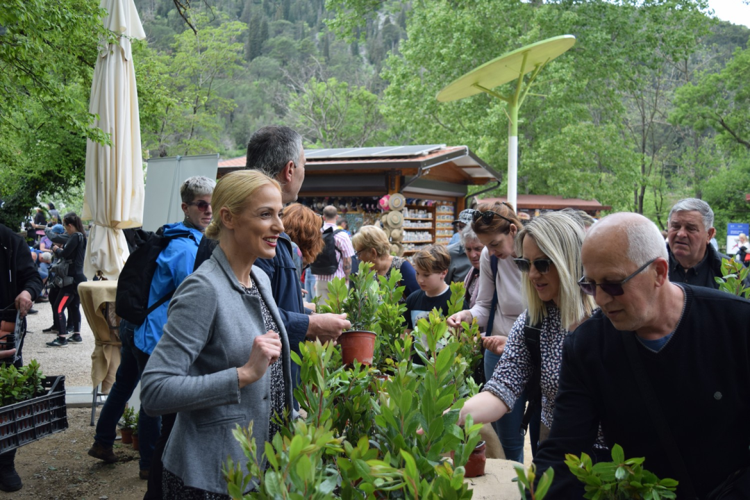NP Krka pridružio se europskoj akciji 'Rastemo zajedno', posjetiteljima podijelili tisuću sadnica