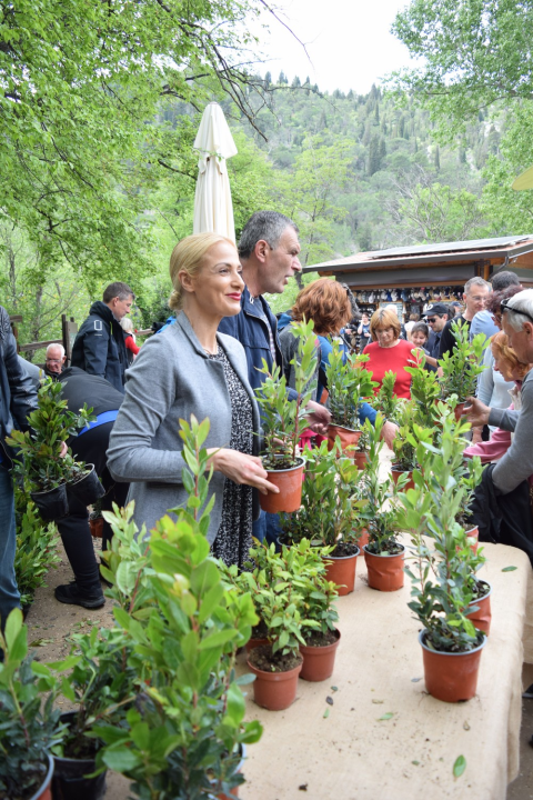 NP Krka pridružio se europskoj akciji 'Rastemo zajedno', posjetiteljima podijelili tisuću sadnica